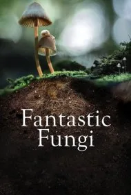 قارچ های فوق العاده (Fantastic Fungi)