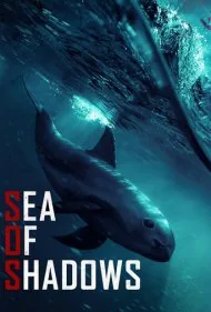 دریای سایه ها (Sea of Shadows)
