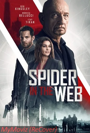 عنکبوتی در تار (Spider in the Web)
