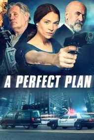 یک نقشه بی‌نقص (A Perfect Plan)