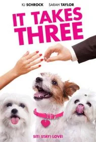 سه نفر لازم است (It Takes Three)