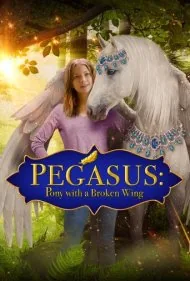 اسبی با بال شکسته (Pegasus: Pony with a Broken Wing)