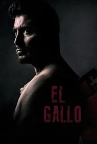 خروس جنگی (El Gallo)