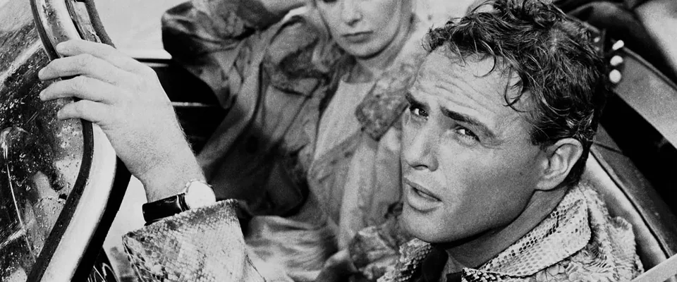 همیشه در فرار (The Fugitive Kind)