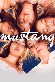 اسب وحشی (Mustang)