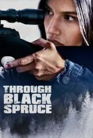 از طریق صنوبر سیاه (Through Black Spruce)