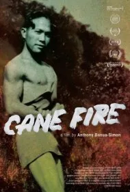 آتش نیشکر (Cane Fire)