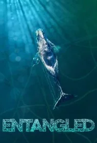 گرفتار در دام (Entangled)