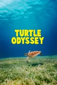 ادیسه لاک‌پشت (Turtle Odyssey)