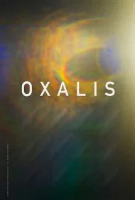 اکسالیس (Oxalis)