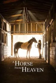 اسبی از بهشت (A Horse from Heaven)