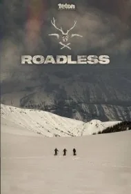 بدون مسیر (Roadless)