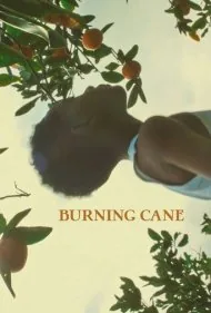 نیشکر سوزان (Burning Cane)