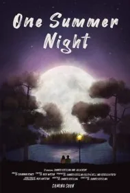 یک شب تابستانی (One Summer Night)