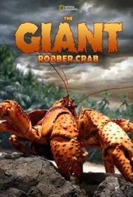 خرچنگ سارق غول‌پیکر (The Giant Robber Crab)