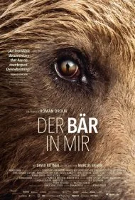 خرس‌مانند (Bear-Like)