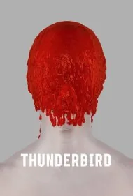 مرغ توفان (Thunderbird)