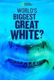 بزرگترین کوسه سفید جهان؟ (World's Biggest Great White?)