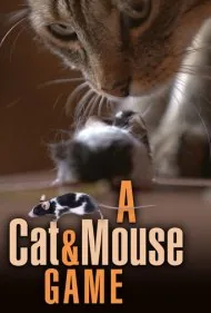 بازی موش و گربه (A Cat and Mouse Game)