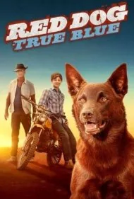 سگ قرمز: آبی واقعی (Red Dog: True Blue)