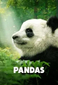 پانداها (Pandas)