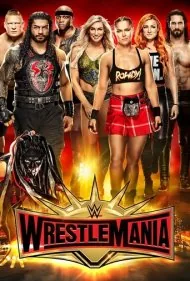 رِسِلمانیا ۳۵ (WrestleMania 35)