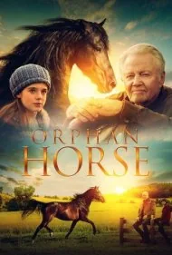 اسب یتیم (Orphan Horse)