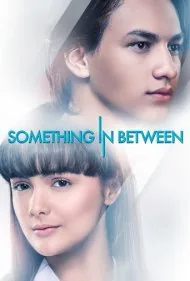 چیزی بین این دو (Something in Between)