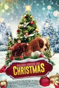 پروژه: توله‌سگ‌ها برای کریسمس (Project: Puppies for Christmas)
