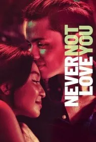 هرگز تو را دوست ندارم (Never Not Love You)