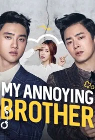 به خاطر برادرم (My Annoying Brother)