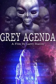 دستور کار خاکستری (Grey Agenda)
