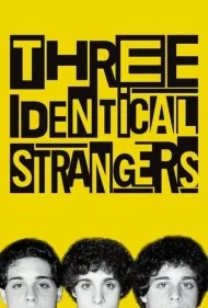 سه غریبه ی یکسان (Three Identical Strangers)