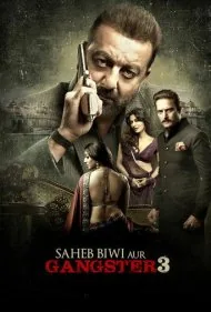 استاد، همسر و گانگستر 3 (The Master, the Wife and the Gangster 3)
