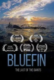 دلفین آبی (Bluefin)