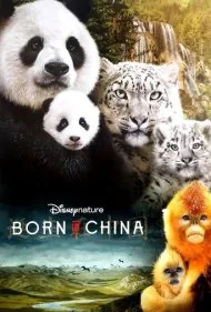 متولد چین (Born in China)