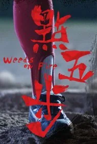 علف‌های شعله‌ور (Weeds on Fire)