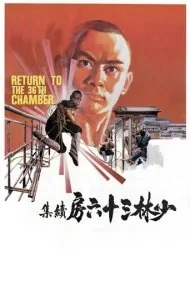 بازگشت به اتاق 36 (Return to the 36th Chamber)