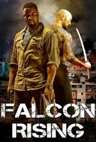 قدرت شاهین (Falcon Rising)