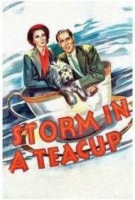 بیهوده نگران شدن (Storm in a Teacup)