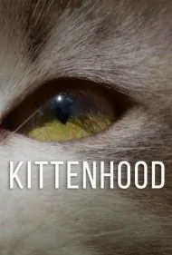 دوران بچه‌گربگی (Kittenhood)