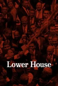 مجلس سفلی (Lower House)