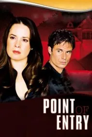 نقطه ورود (Point of Entry)