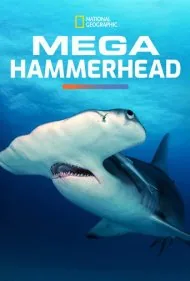 کوسه سرچکشی غول‌پیکر (Mega Hammerhead)