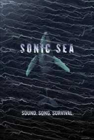 دریای صوتی (Sonic Sea)