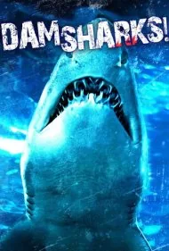 کوسه‌های سدساز (Dam Sharks!)