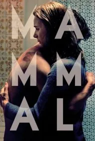 پستاندار (Mammal)