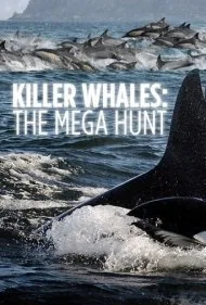 نهنگ‌های قاتل: شکار بزرگ (Killer Whales: the Mega Hunt)