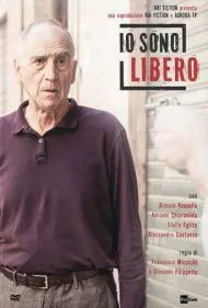 لیبرو (Libero)