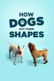 سگ‌ها چگونه این شکلی شدند (How Dogs Got Their Shapes)